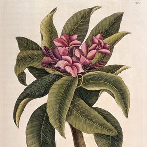 Meet your Posher, Maddie